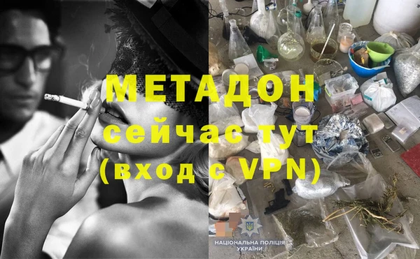 индика Алексин