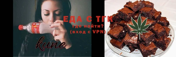 индика Алексин