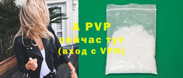 индика Алексин