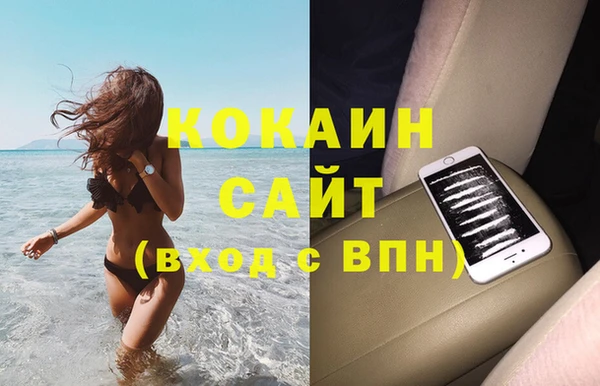 индика Алексин