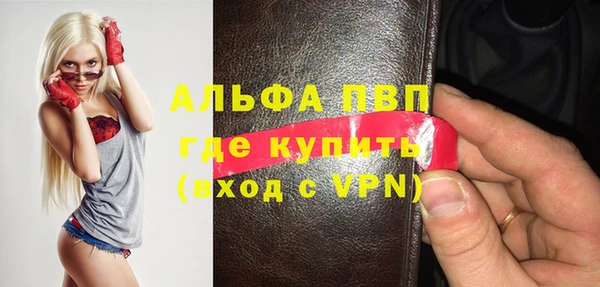 индика Алексин