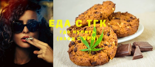 индика Алексин