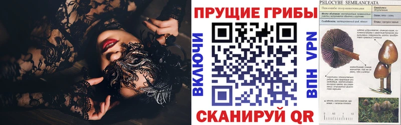Псилоцибиновые грибы мухоморы  нарко площадка Telegram  Разумное 
